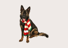 Holiday Dog Scarf