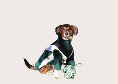 Puppster Soccer Ball - Dog Toy