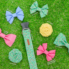 The Juniper Bowtie