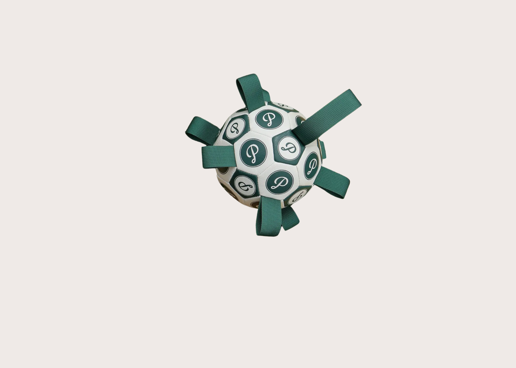 Puppster Soccer Ball - Dog Toy