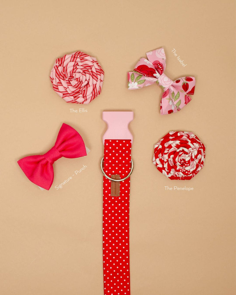 Red Polka Dot Collar (V-Day Exclusive)