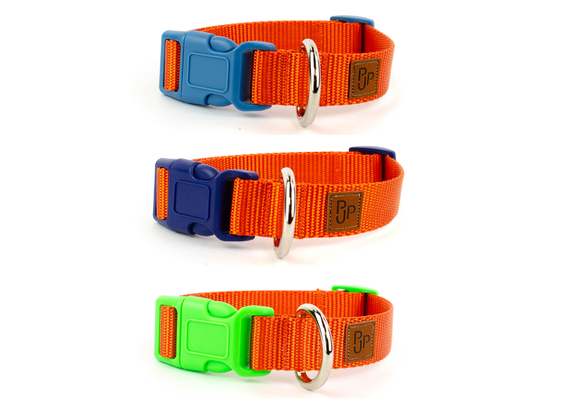 PJP Fetch Collar - Tangerine