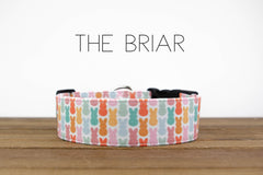 The Briar