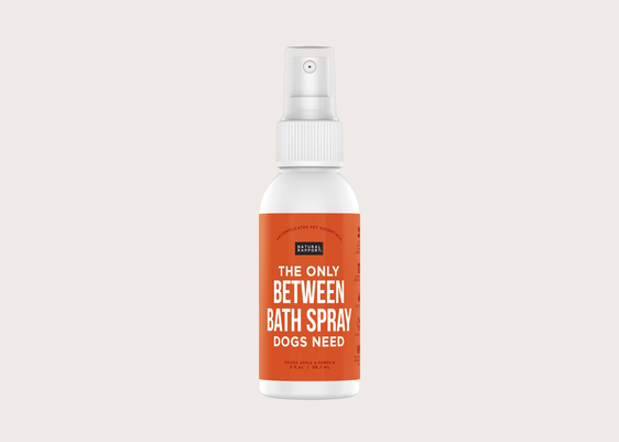Between Bath Spray - Spiced Apple & Pumpkin - Travel Size