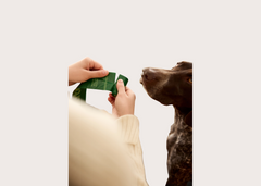 Earth Rated Poop Bag Dispensers and Refills