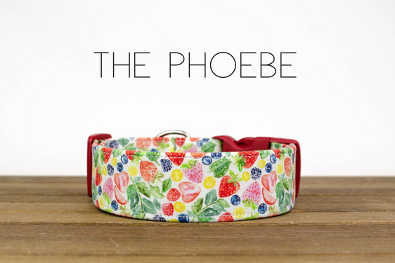 The Phoebe
