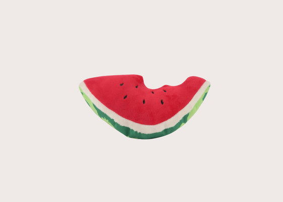 Wagging Watermelon Dog Toy