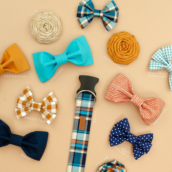 The Taylor Bowtie