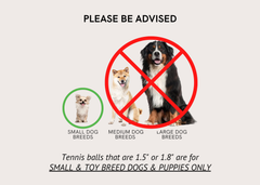 Holiday Squeaky Tennis Ball Set