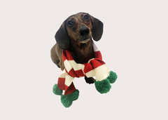 Holiday Dog Scarf