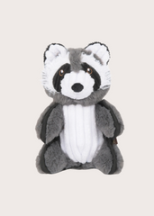 Robby the Raccoon