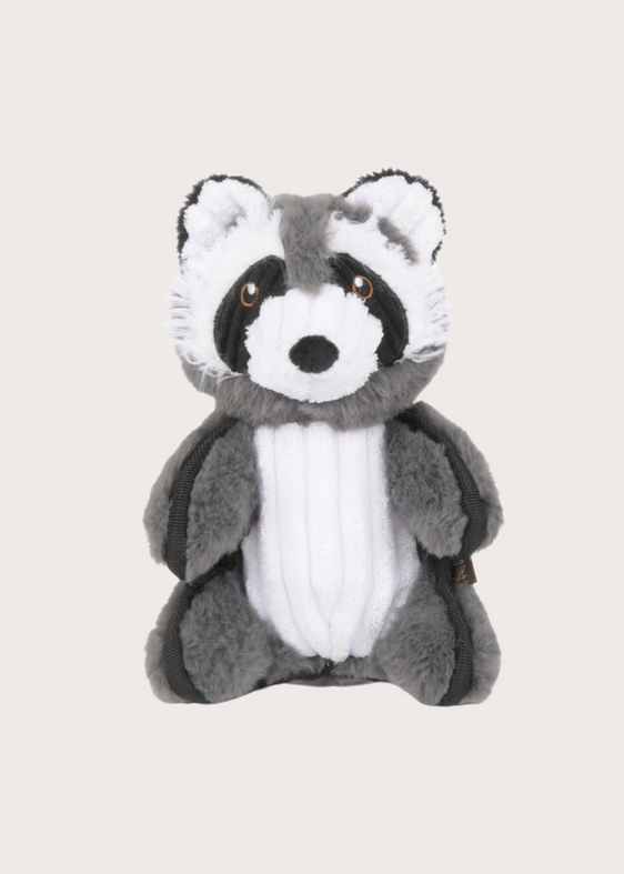 Robby the Raccoon