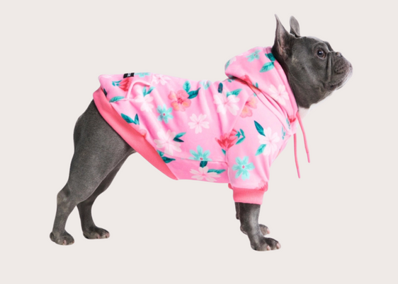 Blossom Dog Hoodie