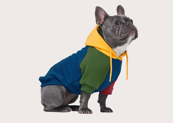 Primary Color Block Dog Hoodie