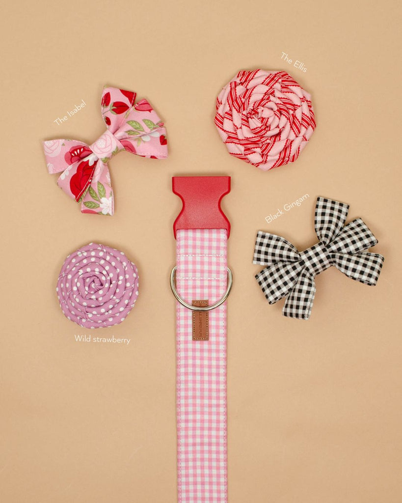 Baby Pink Mini Gingham Collar (V-Day Exclusive)