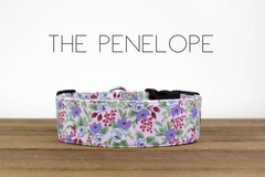 The Penelope
