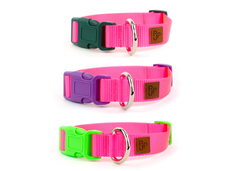 PJP Fetch Collar - Electric