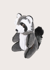 Robby the Raccoon