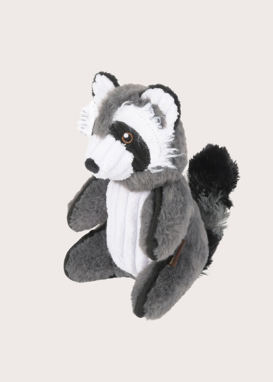 Robby the Raccoon