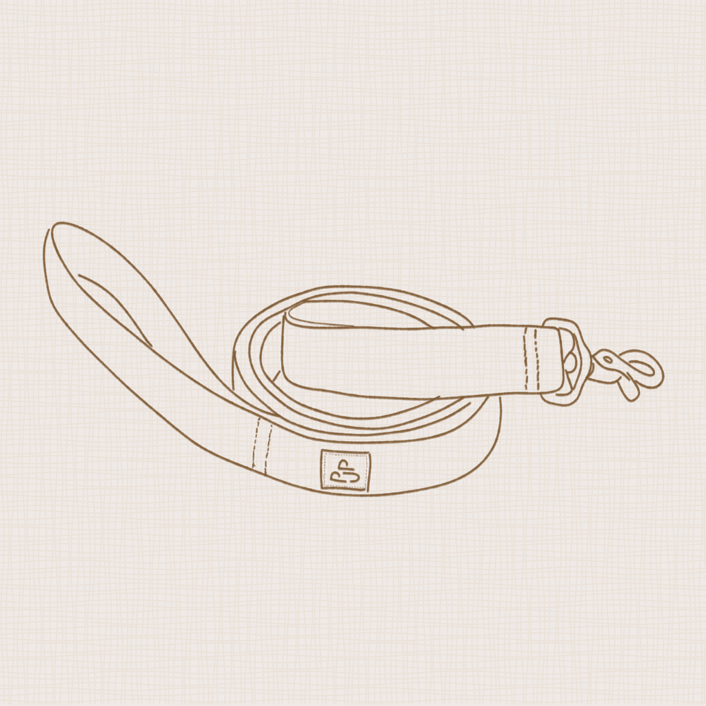 Grab Bag Leash