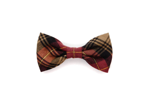 Asheville Gentleman Bow