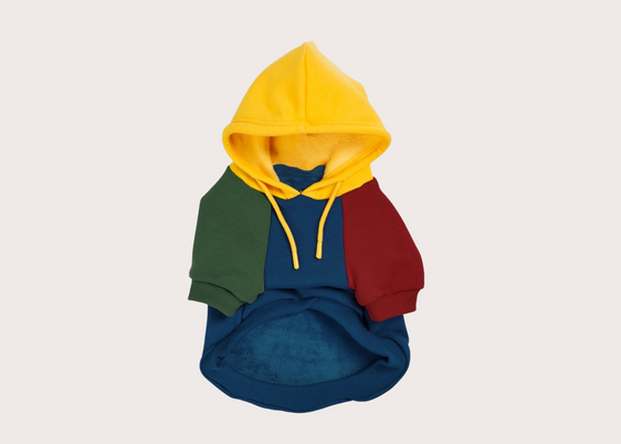 Primary Color Block Dog Hoodie