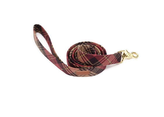 Asheville Leash
