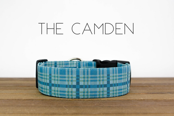 The Camden