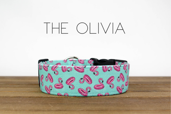 The Olivia