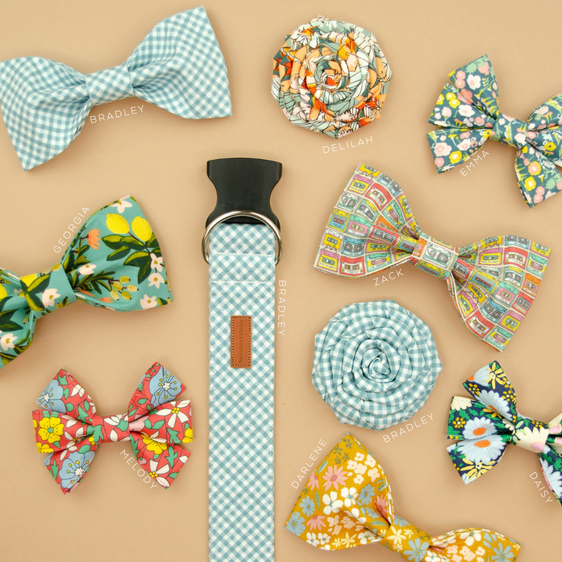 The Bradley Bowtie
