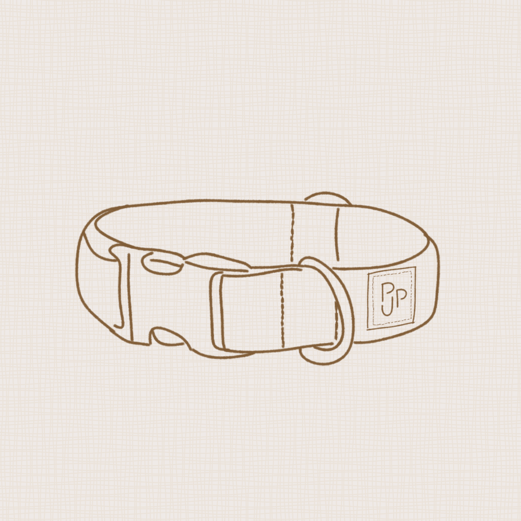 Grab Bag Collar