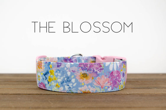 The Blossom