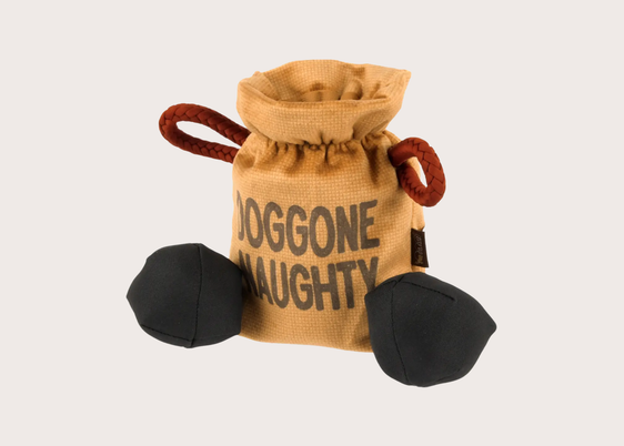 Doggone Naughty - Dog Toy