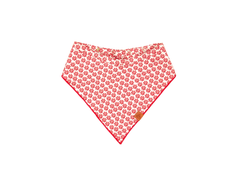 Bandana - The Frasier