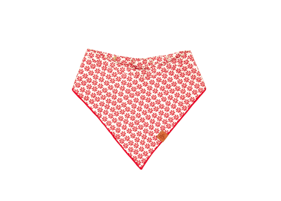 Bandana - The Frasier