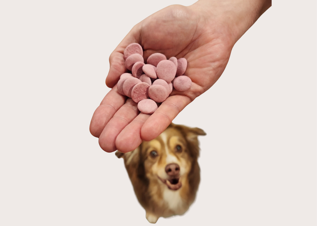Freeze Dried Dog Ice Cream - Waggin" Apple