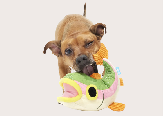 Trout Plush Toy