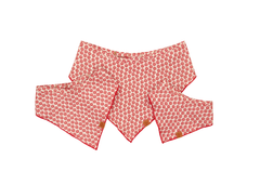 Bandana - The Frasier