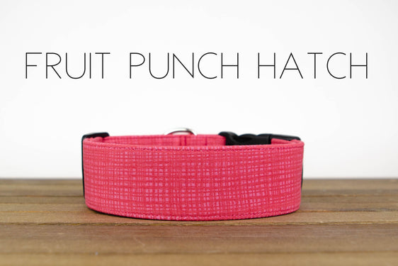Fruit Punch Hatch