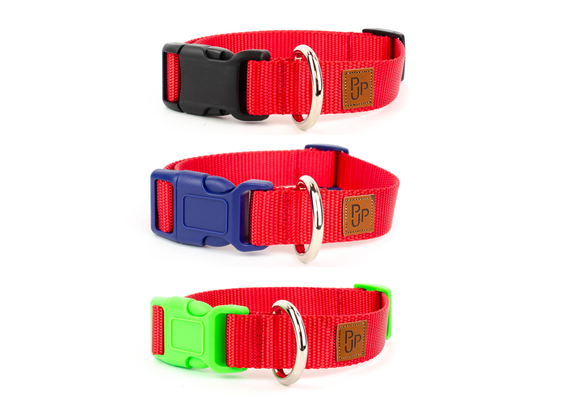PJP Fetch Collar - Candy Apple