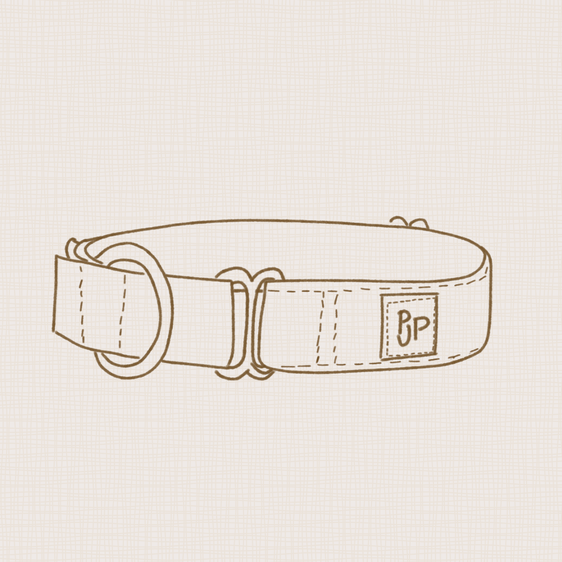 Grab Bag PJP Martingale Collar