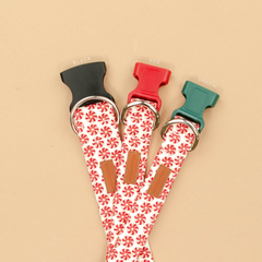 The Frasier Girly Bow
