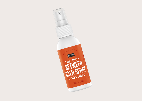 Between Bath Spray - Spiced Apple & Pumpkin - Travel Size