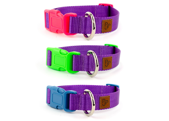 PJP Fetch Collar - Blackberry