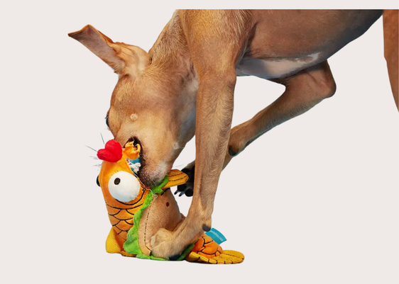 Ernesto The Fish Taco Toy