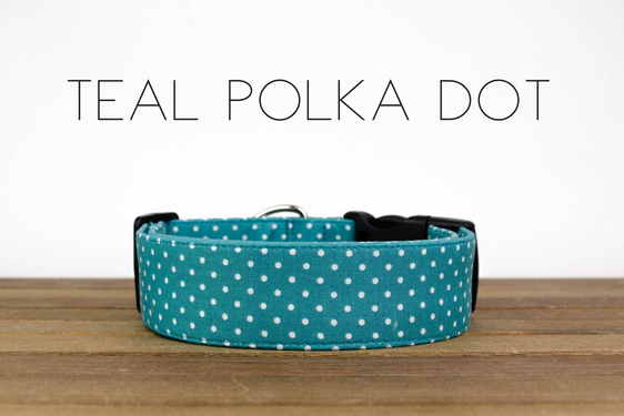 Teal Polka Dot