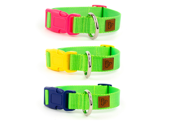 PJP Fetch Collar - Key Lime