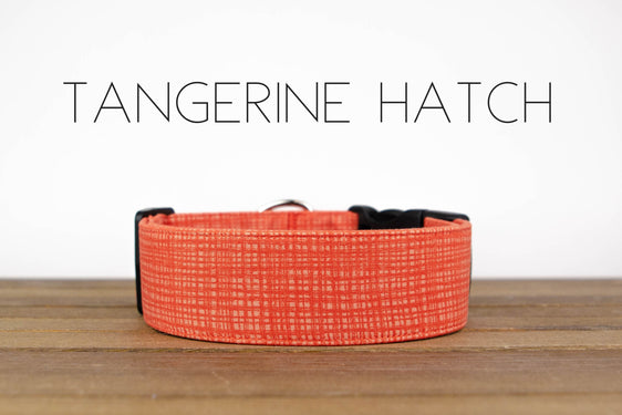 Tangerine Hatch