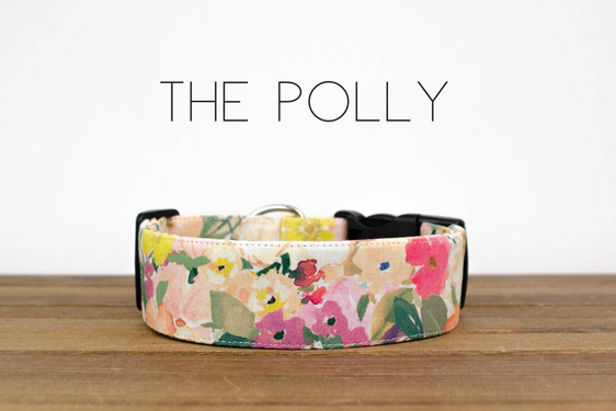 The Polly
