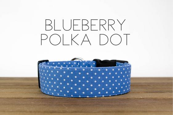 Blueberry Polka Dot